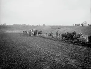 Working Animal Prints: Excavating for new reservoir at Slater, Mo. 1901 Oct 10. Creator: Unknown