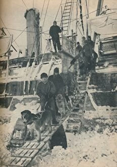 Polar Exploration Collection: Exercising the Dogs, 1936