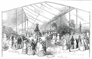 Maura Prints: Exhibition of American Plants at the Royal Botanical Society's Gardens