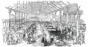 Visitor Prints: Exhibition of the Birmingham and Midland Counties Agricultural Association