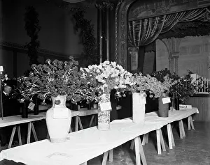 Trestle Table Prints: Exhibits, American Carnation Society Exhibition