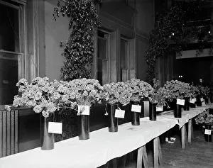 Exhibits, American Carnation Society Exhibition, Detroit, Mich. between 1900 and 1905. Creator: Unknown