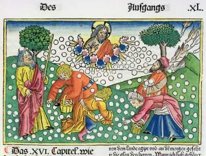Gathering Prints: Exodus 16: 13-22: God provides quail and Manna to the Israelites