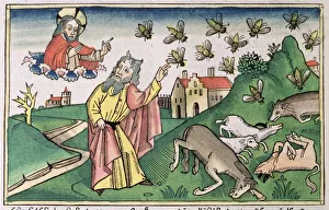 Moses Prints: Exodus 8: 20-32: Moses and the swarm of flies, one of the Seven Plagues of Egypt. Artist