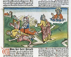 Disease Prints: Exodus 9: 8-12: Moses and the plague of boils, one of the Seven Plagues of Egypt. Artist