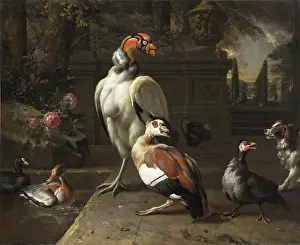 Weenix Prints: Exotic Birds in a Park, 1702. Creator: Weenix, Jan, the Younger (1642-1719)
