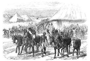 Mules Prints: The Expedition to Abyssinia: mules and mule drivers, 1868. Creator: C. R