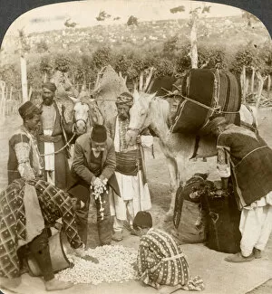 Antioch Collection: Experts purchasing silk cocoons, for export to France, Antioch, Syria, 1900s