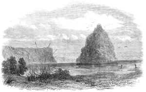 Conical Prints: An Exploring Party on the West Coast of New Zealand: mouth of the Wanganui River