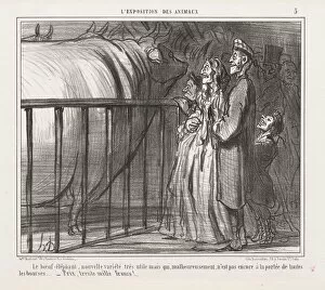 Vivienne Gallery: Exposition of Animals : Pl. 5, The Cow-Elephant, New Variety.... Creator: Honore Daumier