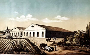 Images Dated 17th April 2013: Exterior view of the building and vineyards of Bodegas of Jerez de la Frontera, lithography