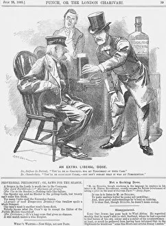 1st Earl Of Balfour Gallery: An Extra Liberal Dose, 1885