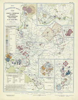 Cartographic Prints: Extraction and primary processing of non-metallic minerals as of January 1