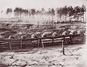 Extreme Left of Bermuda Hundred Lines, 1861-65. Creator: Andrew Joseph Russell