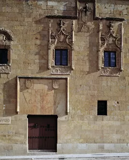 Salamanca Gallery: Detail of the facade of the Palace of Dr
