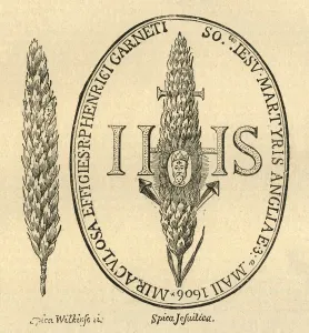 Jesuit Prints: The Face in the Straw. - From Abbots Anthologia, 1613, (1897). Creator: Unknown