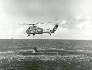 Failed attempt to recover Liberty Bell 7, Atlantic Ocean, 1961.. Creator: NASA