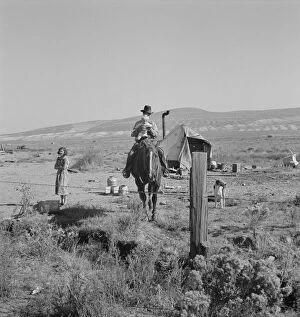 Flue Collection: The Fairbanks family has moved to three... Willow Creek area, Malheur County, Oregon, 1939