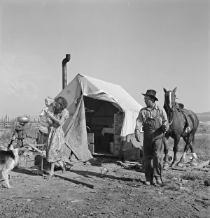 Shelter Collection: The Fairbanks home (FSA), Willow Creek area, Malheur County, Oregon, 1939. Creator: Dorothea Lange