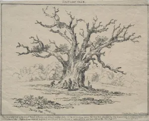 Fairlop Oak, 1811. Creator: D. H. Redman (British)
