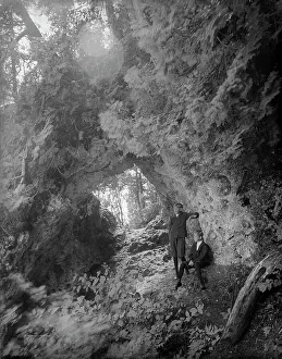 Transparency Prints: Fairy Arch, Mackinac Island, Mich. c1906. Creator: Unknown