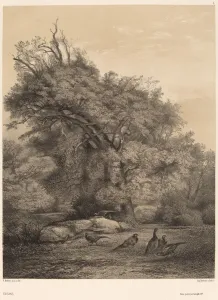 Faisans. Creator: Karl Bodmer