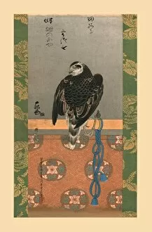 Anderson Collection: Falcon, c1790, (1886). Artist: Wilhelm Greve