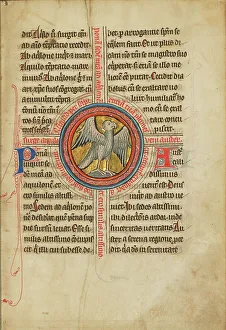 William Shelley Prints: A Falcon within a Cross; De Natura Avium; De Pastoribus et Ovibus; Bestiarium