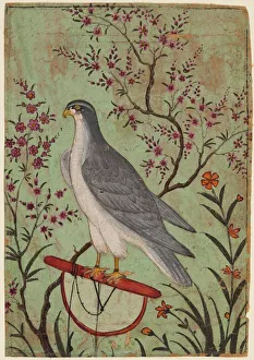 Color On Paper Prints: Falcon on a Perch, c. 1610. Creator: Unknown
