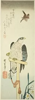 Falcon, sparrow, and narcissus, 1830s. Creator: Ando Hiroshige