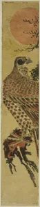 Falcon Collection: Falcon at Sunrise, c. 1775. Creator: Isoda Koryusai
