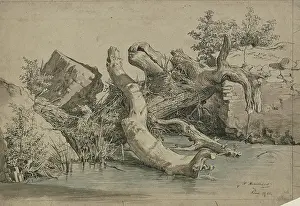 Fallen tree by a stream, 1856. Creator: Johann Heinrich Hasselhorst