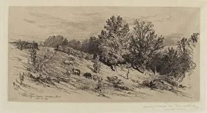 James D Smillie Prints: A Fallow Field, 1883. Creator: James David Smillie