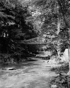 Garden Feature Prints: The Falls, Bronx Park, New York, N.Y. between 1895 and 1910. Creator: Unknown