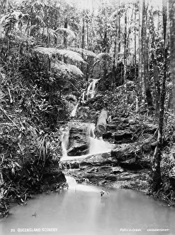 Cyathea Prints: Falls in creek: Crohamhurst, 1894. Creator: Unknown
