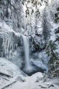 Pool Collection: Falls Creek Falls. Creator: Joshua Johnston