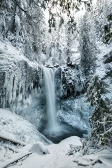 Pacific North West Prints: Falls Creek Falls. Creator: Joshua Johnston