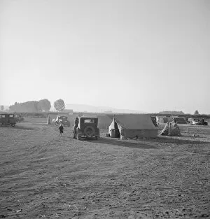 Housing Conditions Collection: Families camped on flat before season opens... near Merrill, Klamath County, Oregon