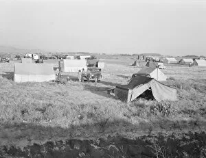 Shantytown Collection: Families camped on flat before season opens waiting... near Merrill, Klamath County, Oregon, 1939