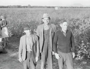 Ten families established by the FSA on the Mineral King Cooperative Farm, Tulare County, CA, 1938. Creator: Dorothea Lange