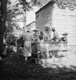 Tobacco Collection: Families stringing tobacco brought in... Granville County, North Carolina, 1939