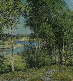 A Family of Birches, 1907. Creator: Willard Leroy Metcalf