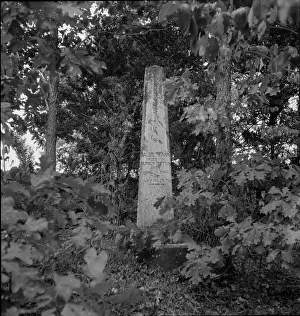 Burial Ground Prints: Family burial ground on the abandoned Pharr Plantation near Social Circle