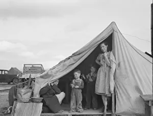 Displaced Persons Collection: This family came to the potato harvest after the... FSA camp, Merrill, Klamath County, Oregon
