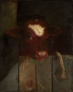 Stable Prints: The Family Cow (Calf's Head), 1869. Creator: William Merritt Chase