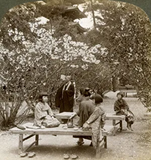 Images Dated 17th July 2008: A family enjoying a picnic under the cherry blossoms, Omuro Gosho, Kyoto, Japan