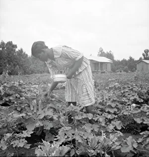 Sharecropper Prints: Family of one of the evicted sharecroppers...Mississippi, 1936. Creator: Dorothea Lange
