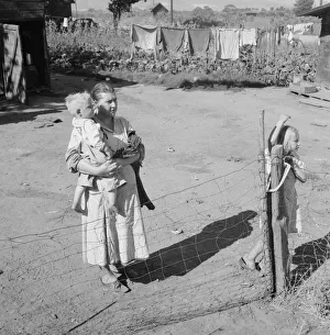 Family living in shacktown community, mostly from Kansas and... Washington, Yakima Valley, 1939. Creator: Dorothea Lange
