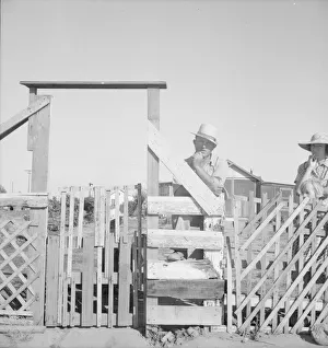 Family from Oklahoma; have been in California for 6 years... near Fresno, California, 1939 Creator: Dorothea Lange