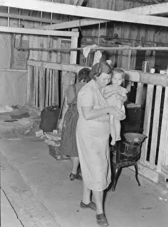 Cardboard Box Prints: Family from Oklahoma, during cotton strike